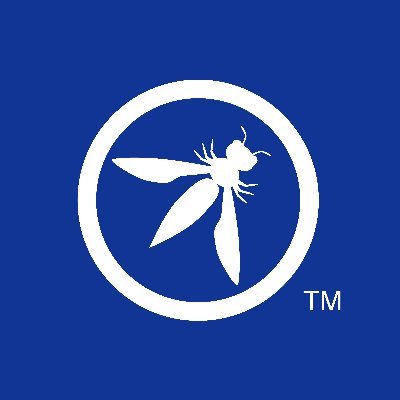 owasp trainings